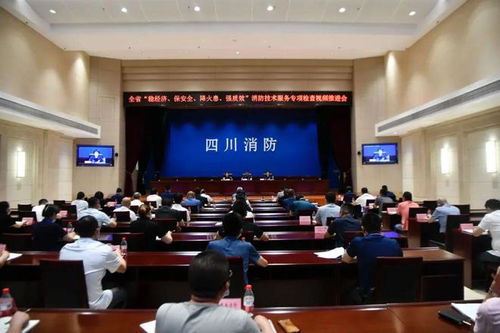 嚴(yán)查消防隱患，筑牢安全防線——四川消防技術(shù)服務(wù)機(jī)構(gòu)專項(xiàng)檢查取得階段性成效